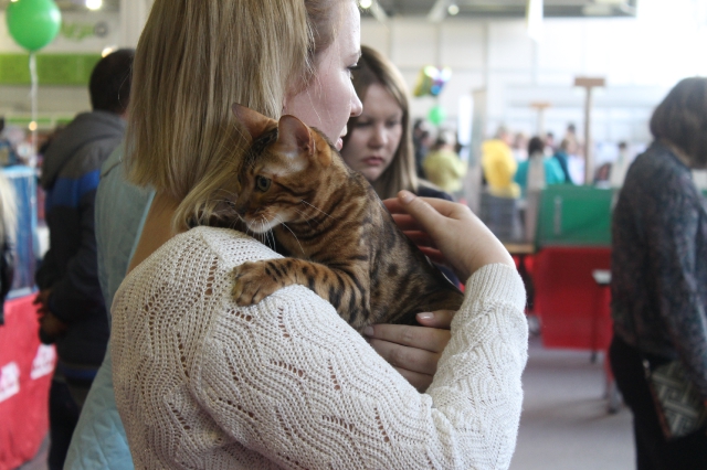 15 марта 2014 Краснодар