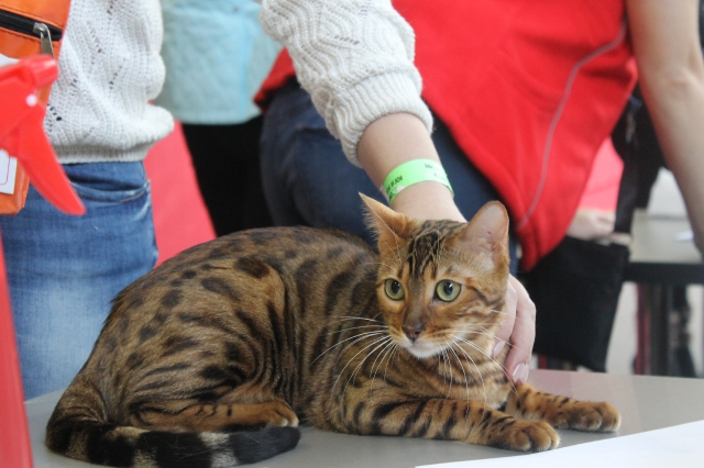 15 марта 2014 Краснодар