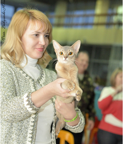 Фото Arabeska ABY