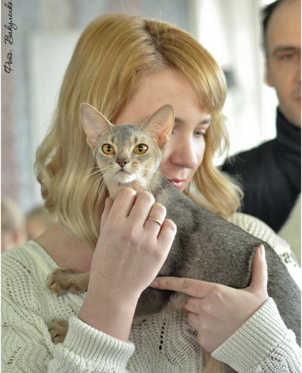 Фото Arabeska ABY