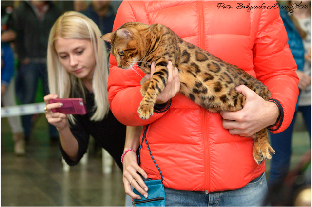 Фото D-JOHNNY GOLD ELITE PERSON