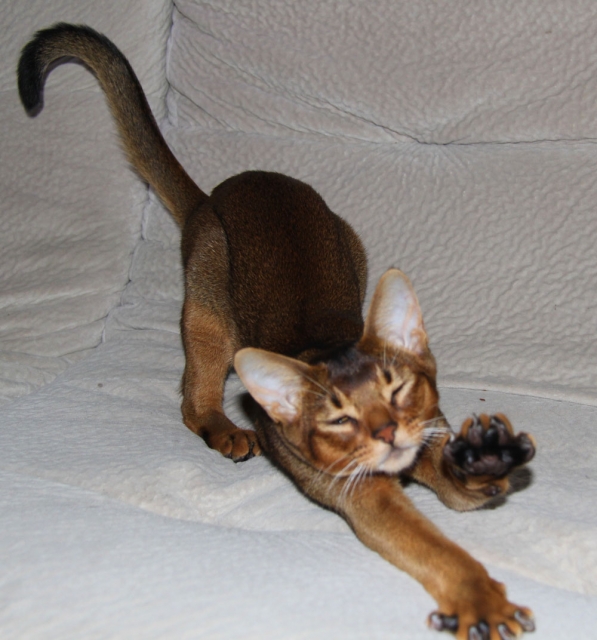 Фото Urfin Juice