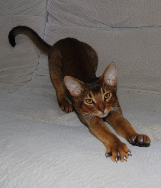 Фото Urfin Juice