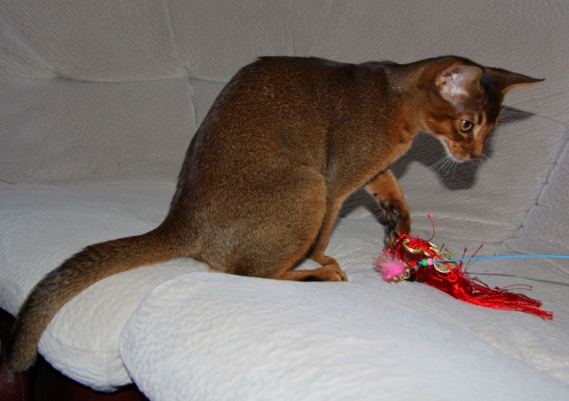 Фото Urfin Juice