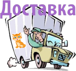 dostavka nashih kotyat