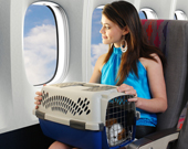 dostavka nashih kotyat kurier