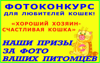 fotokonkurs