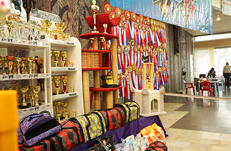 призы на выставке кошек