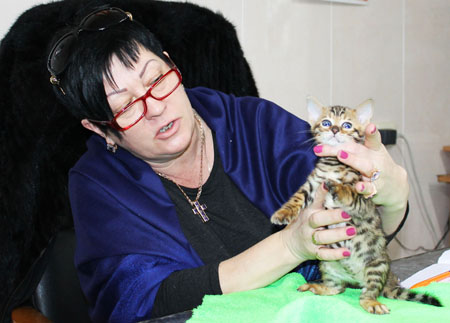 на столе у эксперта