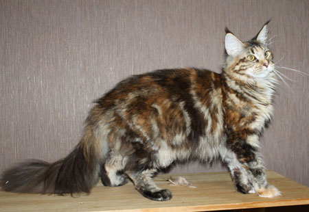 pomet na F para 2014