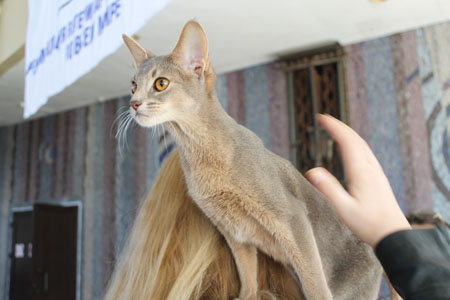 news 19 20 march  2016 3