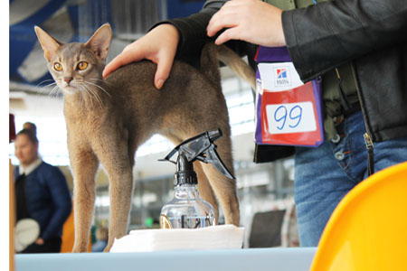 news 19 20 march  2016 4