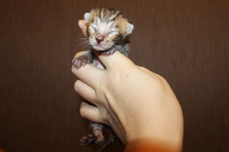 news ben 03.12.2014 mal1