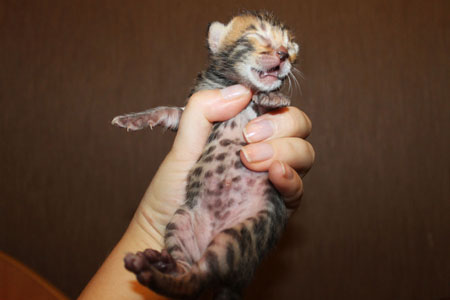 news ben 03.12.2014 mal2