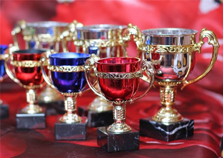vistavka 2013 kubok