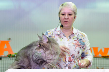 news vistavka 2 11 14 Lola1
