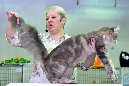 news vistavka 2 11 14 Lola3