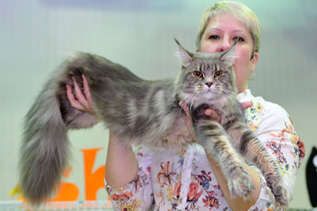 news vistavka 2 11 14 Lola4