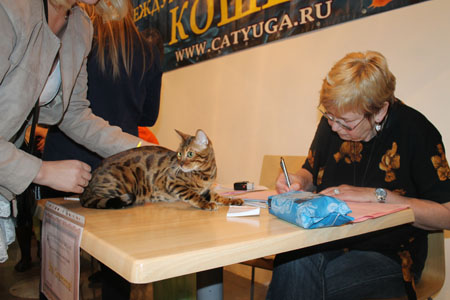 vistavka 12 04 2014 krasnodar WACC1