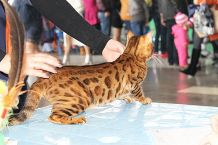 Ely1 news 14 15 03 15