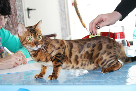 Ely news 14 15 03 15