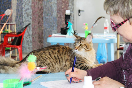 Tekila1 news 14 15 03 15