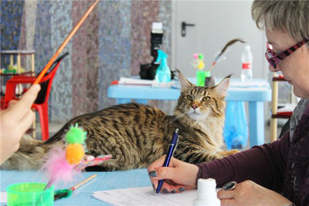 Tekila news 14 15 03 15