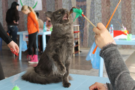 Vatican1 news 14 15 03 15