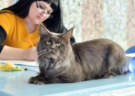 news 2015 vistsvka 17 18 oct