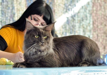 news 2015 vistsvka 17 18 oct1