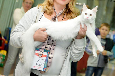 news 2015 vistsvka 17 18 oct2