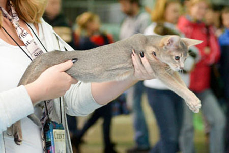 news 2015 vistsvka 17 18 oct7