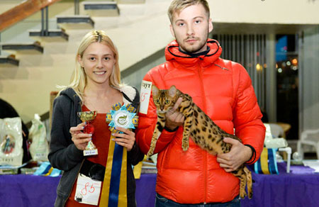 news 2015 vistsvka 17 18 oct8