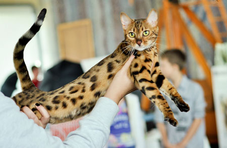 news 2015 vistsvka 17 18 oct9