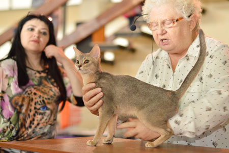 vistavka 18 10 14  Blus