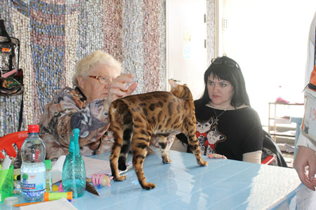 vistavka 18 10 14  Ely1