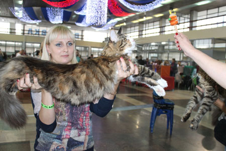 vistavka 18 10 14  Orange