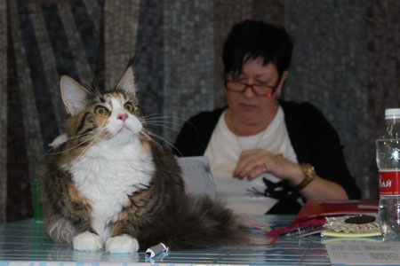 vistavka 18 10 14  Orange2