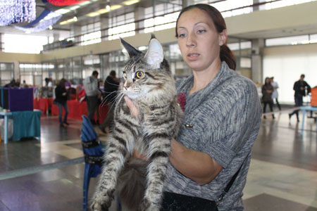 vistavka 18 10 14  Origami