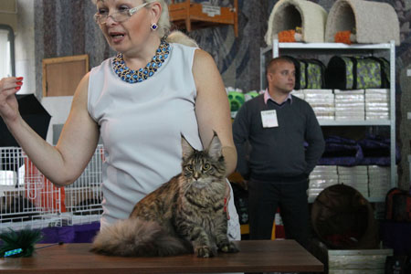 vistavka 18 10 14  Origami3