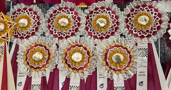 8-9 marta 2014 vistavka news 6