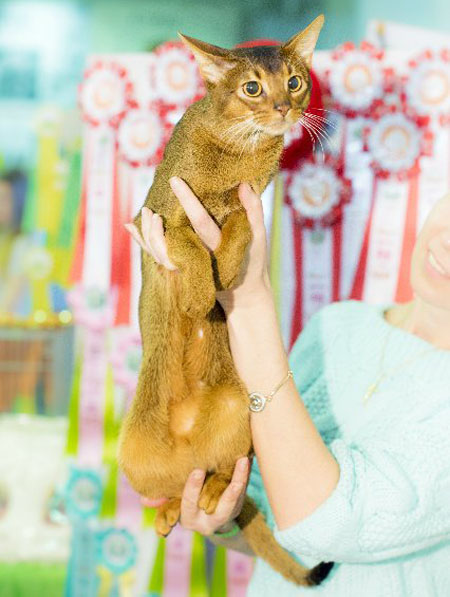 news AFC march 2016 3