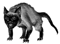 агрессивное животное