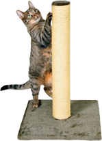 kogteto4ka dly koshek3