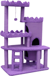 когтеточка фиолетовая