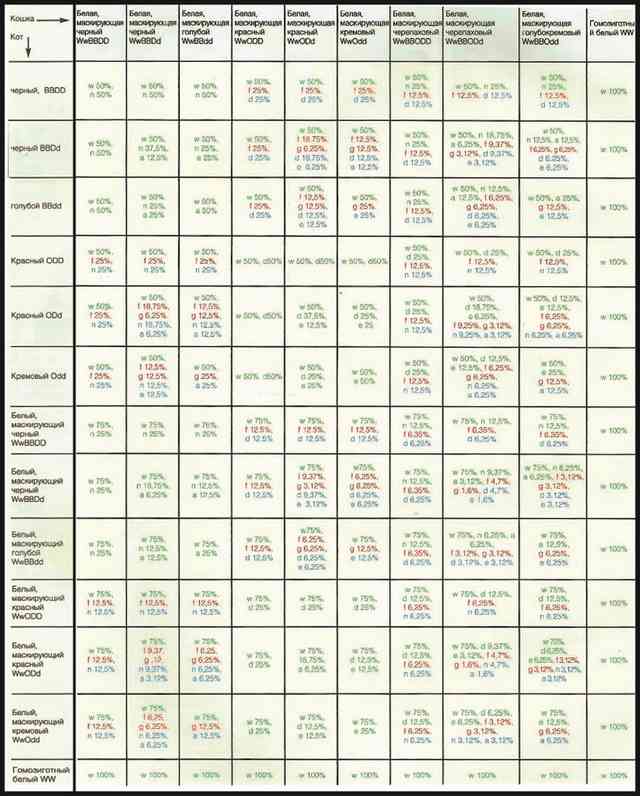 расчет сплошных окрасов