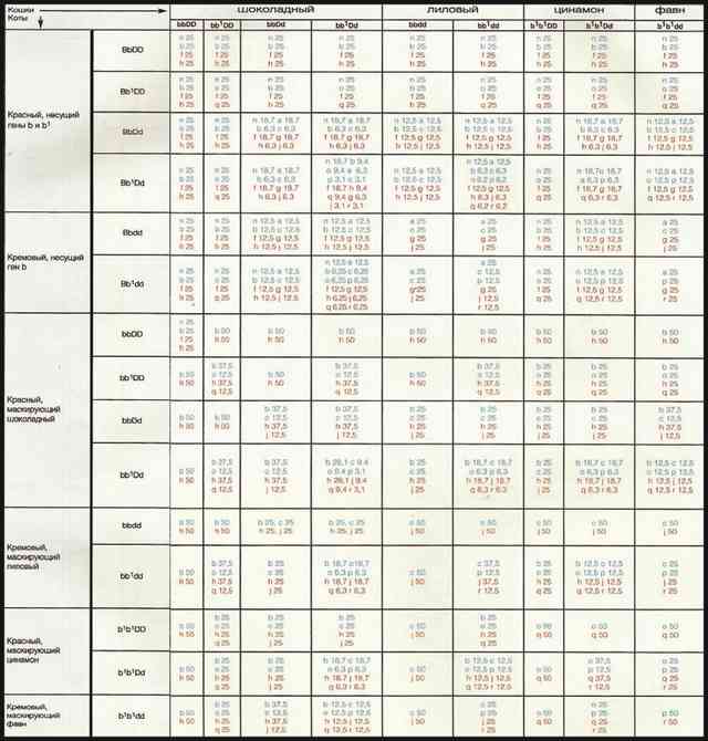 Расчет окраса потомства от кота и кошки сплошных окрасов включая шоколад, лилак, циннамон и фавн в сочетании с красным. таблица 3 продолжение
