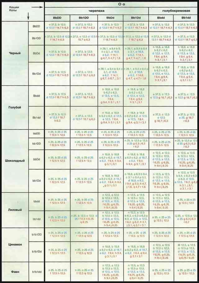 Расчет окраса потомства от кота и кошки сплошных окрасов включая шоколад, лилак, циннамон и фавн в сочетании с красным Tab 4