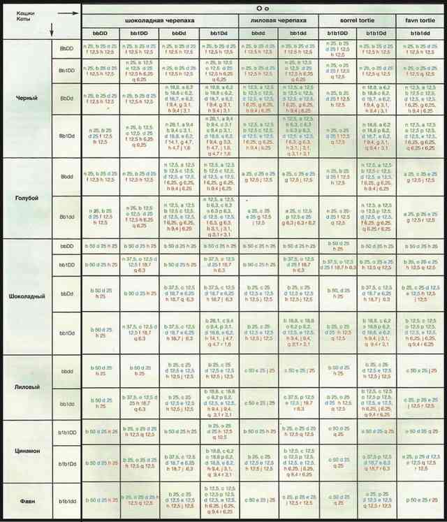 Расчет окраса потомства от кота и кошки сплошных окрасов включая шоколад, лилак, циннамон и фавн в сочетании с красным Tab 4 2
