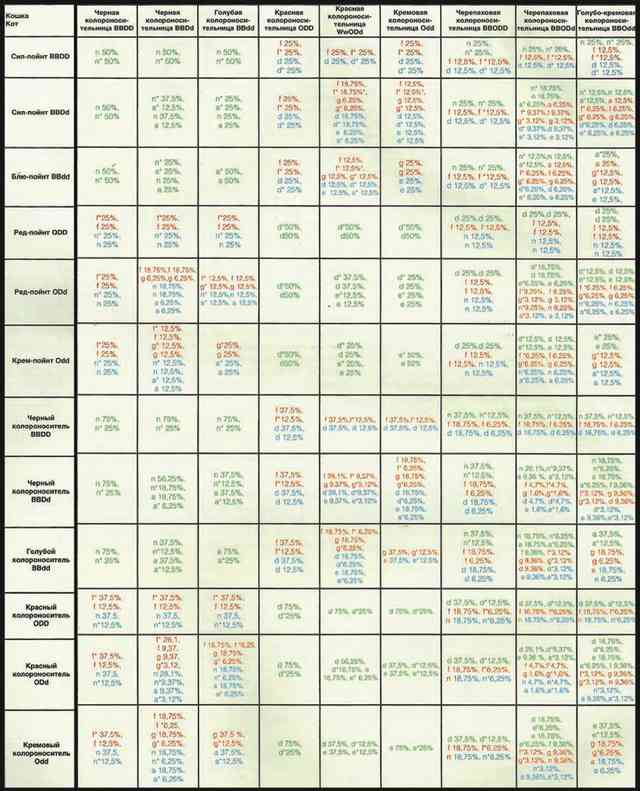 Расчет окраса котят от пары кошек колор-пойнтового, бурманского и тонкинского окраса Tab 7 2